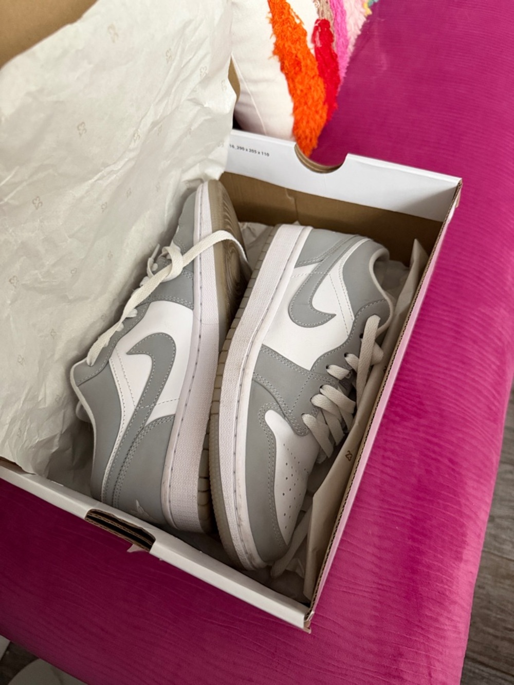Nike Low-Top Sneakers in White and Light Gray